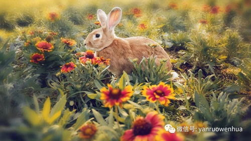 秋风送爽还是秋风刺骨？这是个问题！