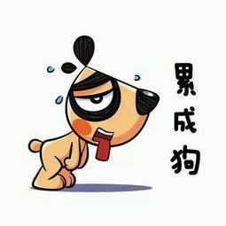 鸡属女性群体：刻苦耐劳、 事业强较大较大的内驱力