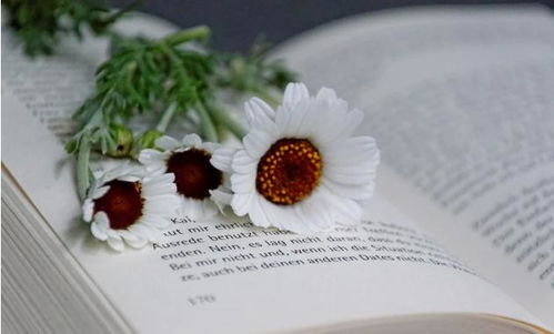 稀缺性与吸引力