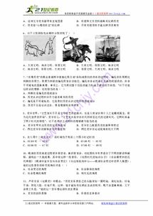 历史维度的审视：汉宋两代玄学思想的巅峰与流变