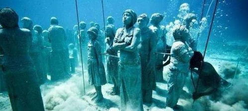 海人无家海里住打一生肖是哪位生肖呢？