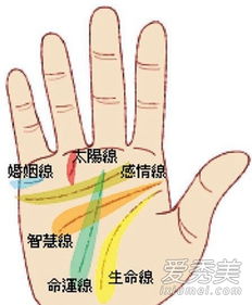 如何通过手相查询得知自己是否有喜欢的人？