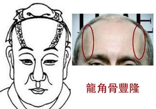 面颊对称性与早期成长环境的映射