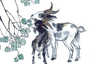 三、 挂画摆放方式及空间布局要点