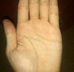 手相面相生辰八字中，哪些操劳命的面相和手相特征能改写为吉祥面相？