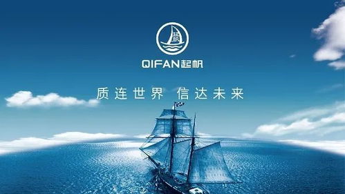 2.1 额部结构与奋斗目标之间的对应关系