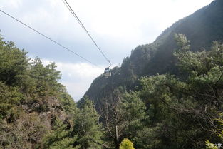 凯里羊坪自驾游：一场说走就走的混乱之旅