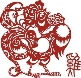 属鸡的看这里看这里