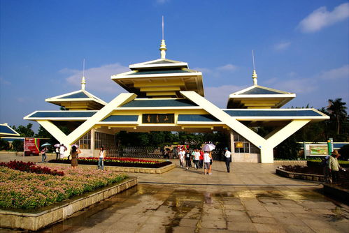 青秀山：不只是堪风景那么简单