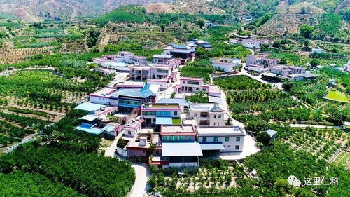 板桥旅游新村：所谓的“原生态”其实是人工摆拍