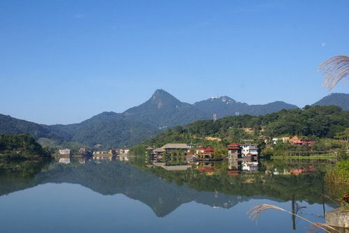 美食：挑战你的味蕾极限