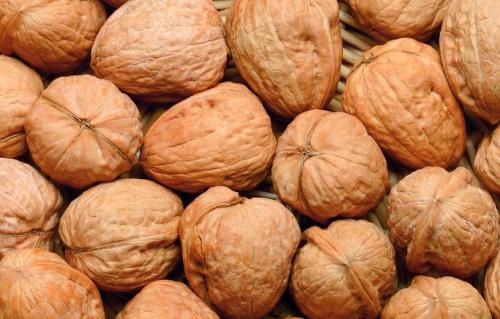 4. 核桃的108种死法