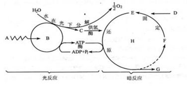 五行组合：水-土