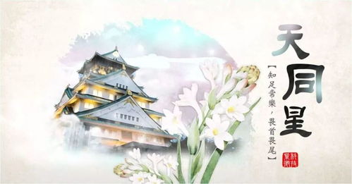一、 天同星的基本属性与象征意义