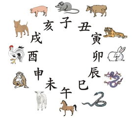 二、三足鼎立在生肖配对中的具体表现