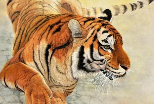 2010年出生的属虎人，在2026年农历正月财运运势如何？