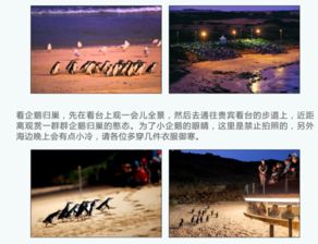 你以为企鹅岛是童话嗯？第一次被76兰特门票“打脸”后 我懂了哪些叫“商业活动化的温柔陷阱”