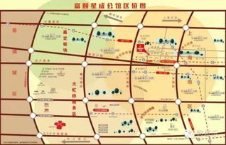 富有市场价格较高寿考星聚成的较大格局概述