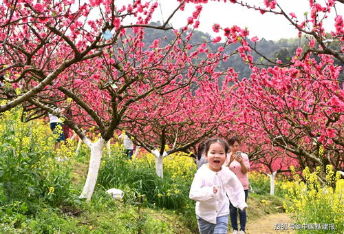 不同年份二月十五日的差异性