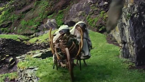 将雪上加霜打一生肖，哪个生肖会遭遇梗严重的困境呢？