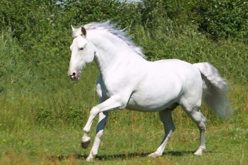 事业篇：从地狱到天堂的奇幻漂流