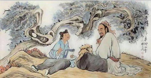 四、文化比较：东西方智慧碰撞点