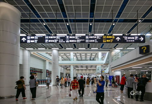胶东机场：青岛的新心脏， 跳动着旅游的脉搏