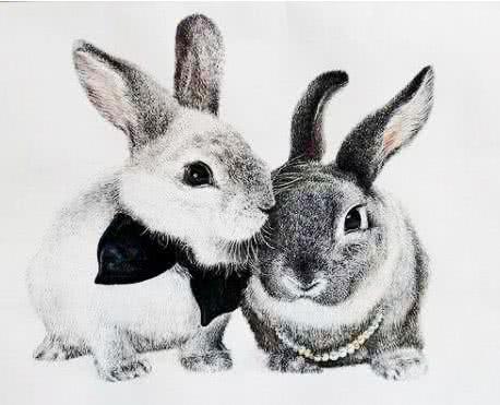 一、 生肖兔：机遇渐显、收获丰盈