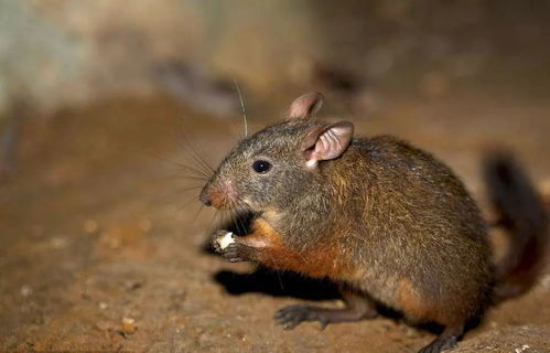 二、 人格特征与命运关联的心理学阐释