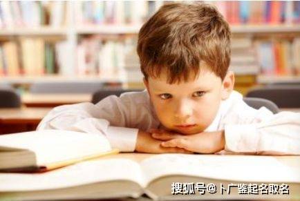 起名学：虎宝宝男孩宥霖背后的SEO策略