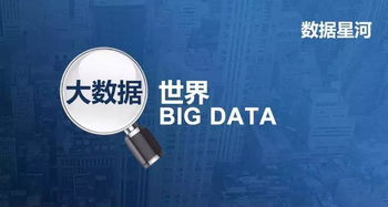 如何通过大数据分析找到与我匹配度最高的婚姻伴侣？