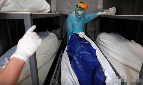 2.2 动物避让原则