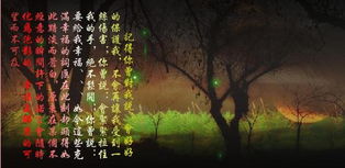 三、  谜团层层叠嶂：身份迷失与宿命轮回