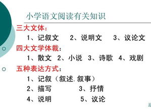 一、 观物取象法：汉字象形之根基
