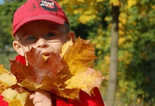 结合季节特点的小名建议 (别太认真)