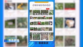前言：名字的魔力与五行学