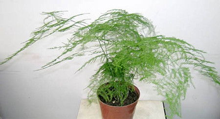 养护管理的细节要点