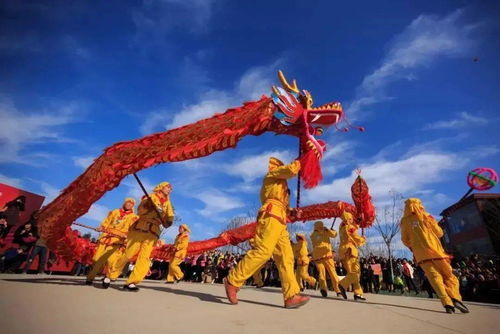 舞龙舞狮：星象崇拜与生命活力的动态展演