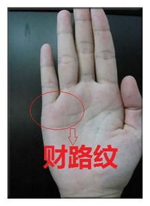 四、  手相纹理中潜藏的财富密码