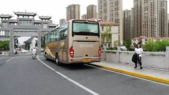 交通：公交车？打车？还是学企鹅游泳？