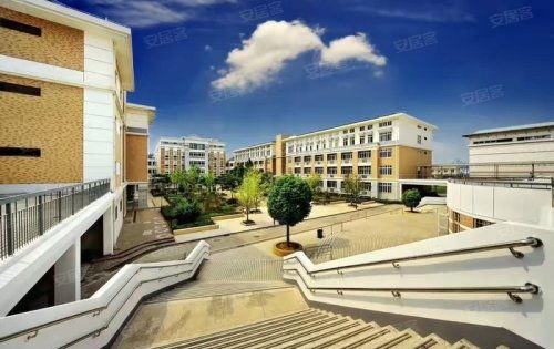 校园内的低调美味：三杯鸡与辣子鸡