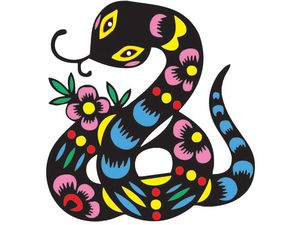 生肖蛇最忌讳的三个属相是什么，它们之间有何特别的不合之处？