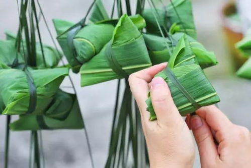 端午节粽文化底蕴及其社会周边环境功能的系统探究