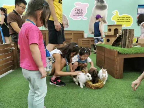 亲子游策略：避开坑，玩得爽