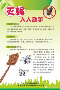 一、 探究背景与问题的提出