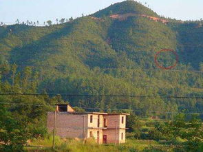 六、 其他民间流传之阴宅选址故事概览（案例三）