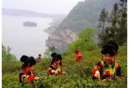 宿马水门景区门票价格查询：一场说走就走的“坑爹”之旅