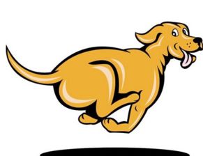 2026年属狗人的大忌和下半年禁忌具体指什么？