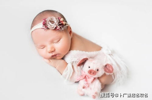 属牛女孩：高雅有涵养的名字精选