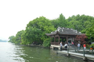 住宿：住进山景房比湖景房更治愈